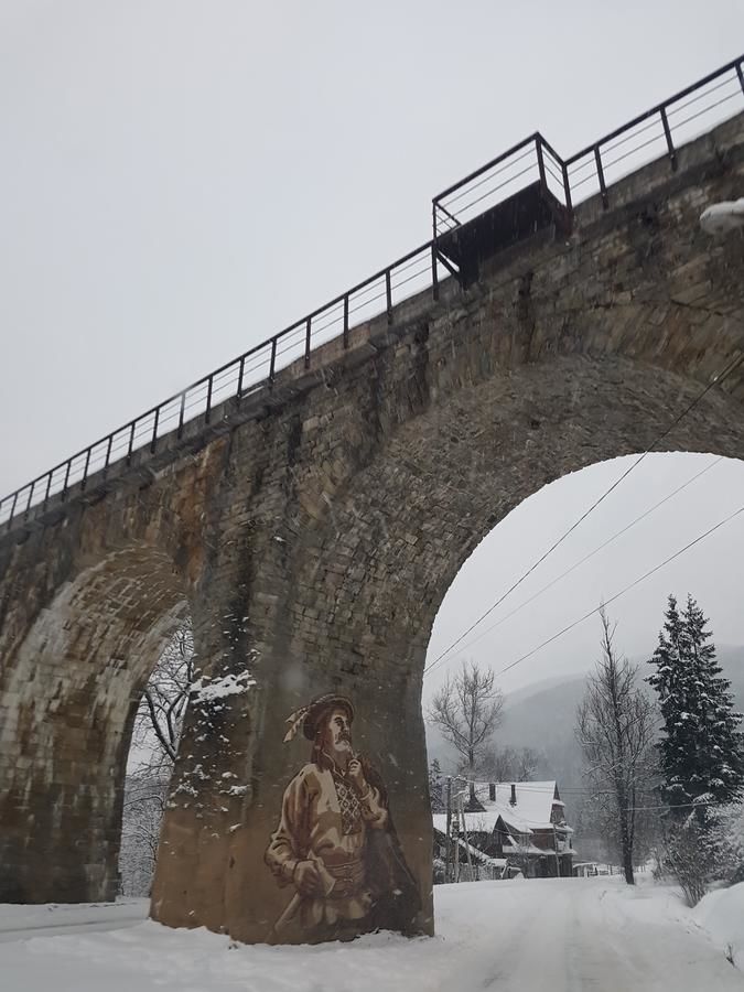 Гостевой дом Sadyba Bliznuky Ворохта-19